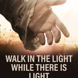 Nedsatt pris Walk In the Light While There Is Light (e-bok) av Leo Tolstoy