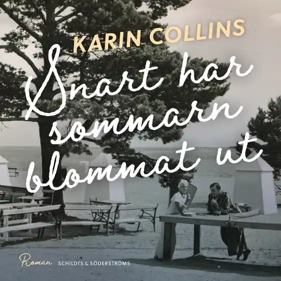 Sista chansen Snart har sommarn blommat ut (ljudbok) av Karin Collins