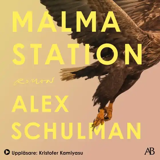 Säker betalning Malma station (ljudbok) av Alex Schulman