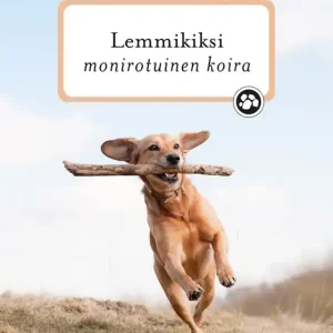 Lemmikiksi monirotuinen koira (e-bok) av Sanna Karppinen Reapris