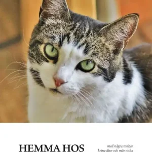Hemma hos Hektor | 1:a upplagan Reapris