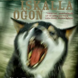 Hennes iskalla ögon | 1:a upplagan Sista chansen