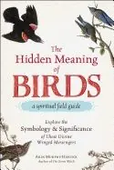 Hidden Meaning Of Birdsa Spiritual Field Guide | 0:e upplagan Populär