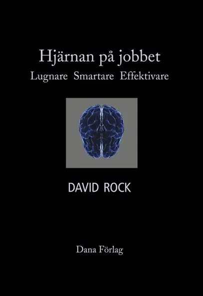 Säker betalning Hjärnan på jobbet : lugnare, smartare, effektivare | 1:a upplagan