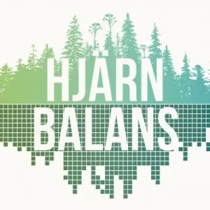Bästa pris Hjärnbalans | 1:a upplagan