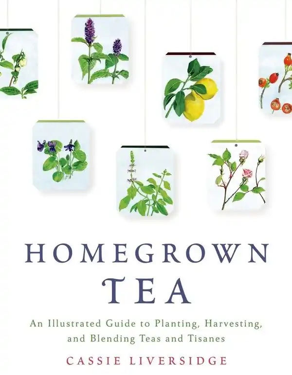 Homegrown Tea | 0:e upplagan Populär