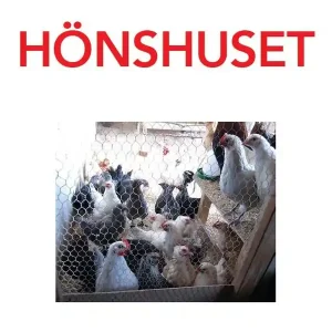 Hönshuset | 0:e upplagan Trygg betalning