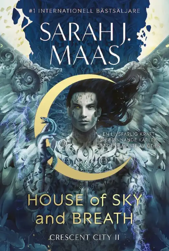 Lägg i varukorgen House of Sky and Breath : Svensk utgåva | 0:e upplagan