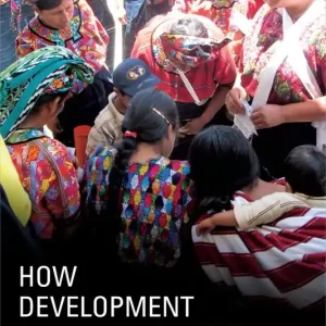 Rea How Development Projects Persist | 0:e upplagan