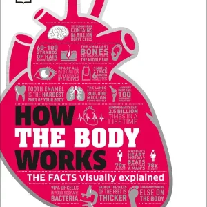 Reapris How the Body Works | 0:e upplagan