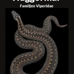 Huggormar : Familjen Viperidae | 1:a upplagan Lägg i varukorgen