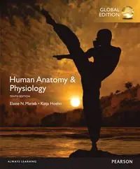 Rabatter Human Anatomy & Physiology, Global Edition | 10:e upplagan
