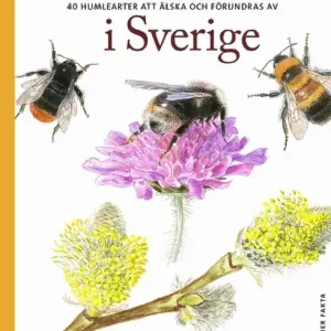 Humlor i Sverige : 40 arter att älska och förundras över | 0:e upplagan Beställ nu
