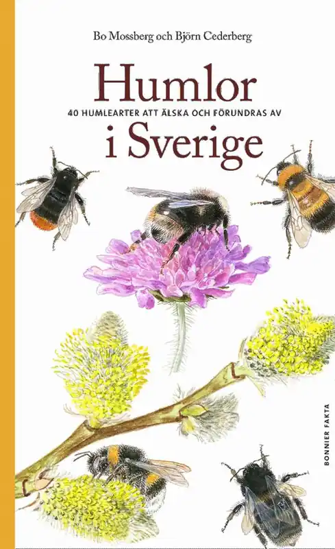 Humlor i Sverige : 40 arter att älska och förundras över | 0:e upplagan Beställ nu