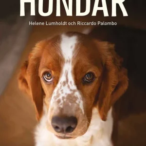 Hundar | 0:e upplagan Kundfavorit