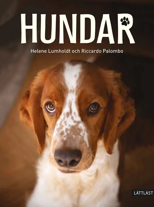 Hundar | 0:e upplagan Kundfavorit