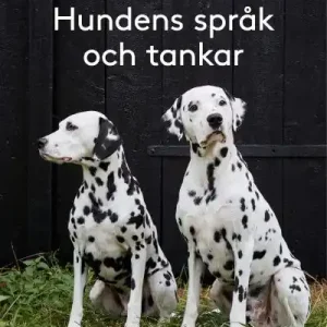Hundens språk och tankar | 1:a upplagan Utförsäljning