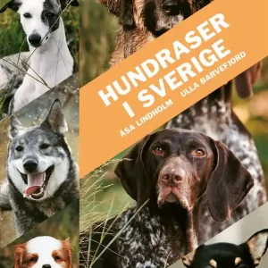 Hundraser i Sverige | 2:a upplagan Lågt pris