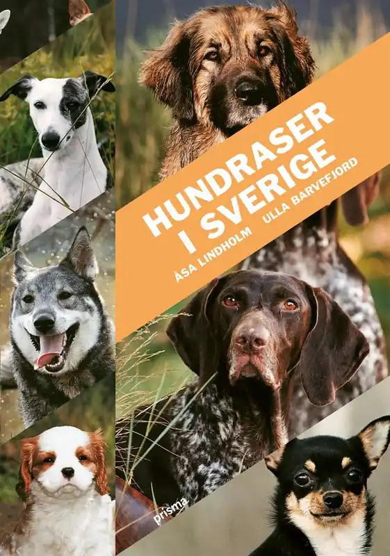 Hundraser i Sverige | 2:a upplagan Lågt pris
