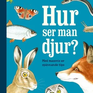 Hur ser man djur? : en upptäckarbok för nyfikna | 1:a upplagan Köp online