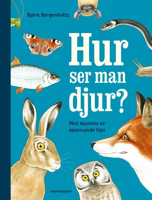 Hur ser man djur? : en upptäckarbok för nyfikna | 1:a upplagan Köp online