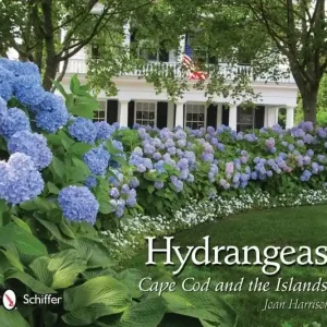 Hydrangeas : Cape Cod and the Islands | 0:e upplagan Billigare