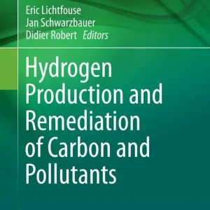 Begränsat erbjudande Hydrogen Production and Remediation of Carbon and Pollutants | 1:a upplagan
