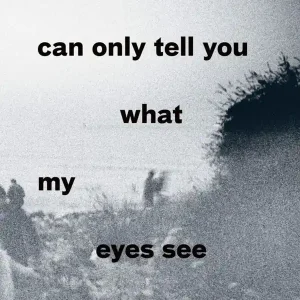 I Can Only Tell You What My Eyes See | 0:e upplagan risnedsättning
