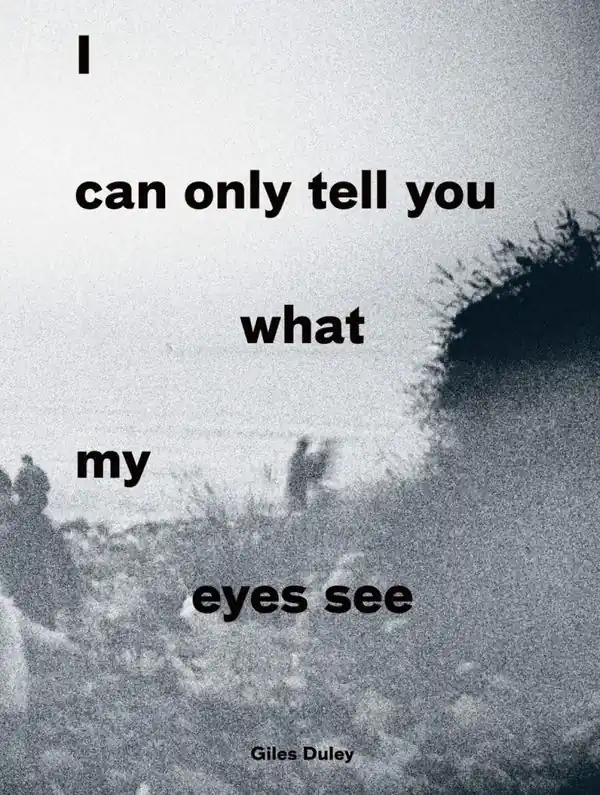 I Can Only Tell You What My Eyes See | 0:e upplagan risnedsättning
