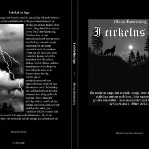 I cirkelns öga | 1:a upplagan Sänkt pris