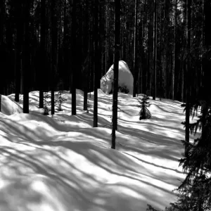 I den djupa svarta skogen | 0:e upplagan Kampanj