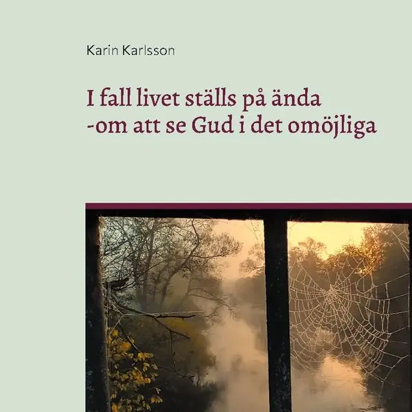 Erbjudandepris I fall livet ställs på ända : - om att se Gud i det omöjliga | 1:a upplagan