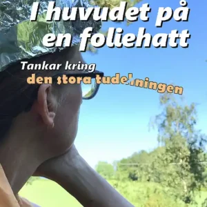 I huvudet på en foliehatt - Tankar kring den stora tudelningen | 1:a upplagan Nyhet