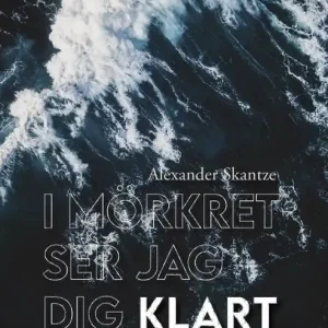 Utförsäljning I mörkret ser jag dig klart | 1:a upplagan