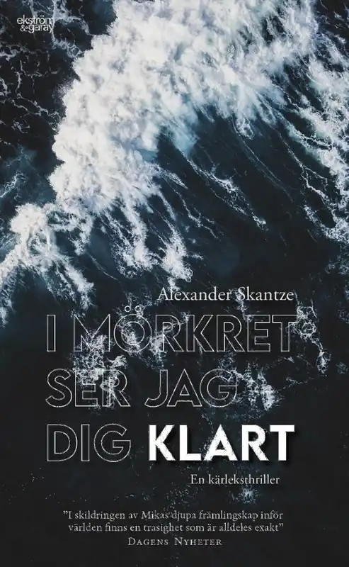 Utförsäljning I mörkret ser jag dig klart | 1:a upplagan