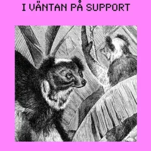 Nyhet I väntan på support | 0:e upplagan