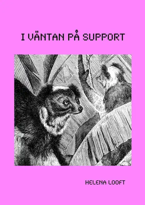Nyhet I väntan på support | 0:e upplagan