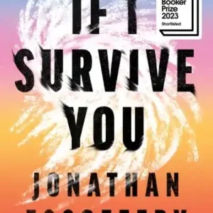 Säker betalning If I Survive You | 0:e upplagan