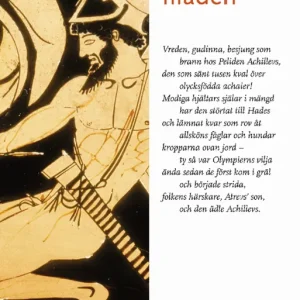 Iliaden | 1:a upplagan Handla nu