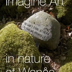 Handla nu Imagine Art : in nature at Wanås | 0:e upplagan