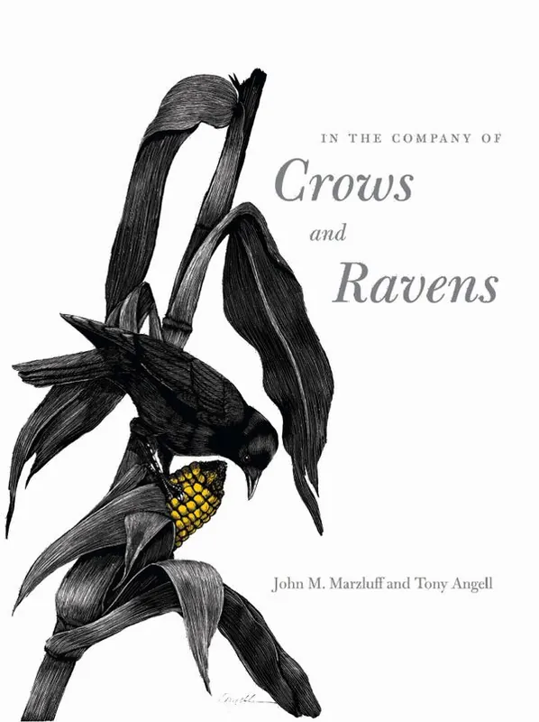 Nedsatt pris In the Company of Crows And Ravens | 0:e upplagan