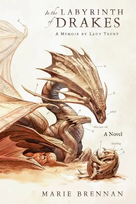 In the Labyrinth of Drakes | 0:e upplagan Sänkt pris