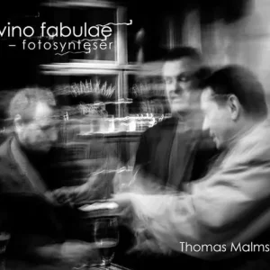 Kampanjpris In vino fabulae : fotosynteser | 1:a upplagan