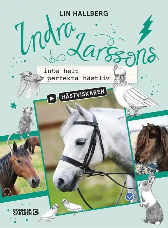 Indra Larssons inte helt perfekta hästliv | 0:e upplagan I lager