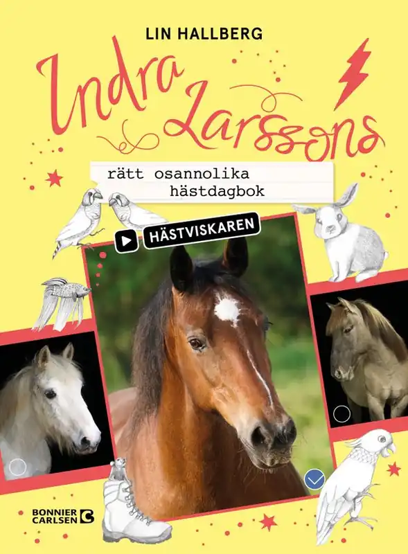 Indra Larssons rätt osannolika hästdagbok | 0:e upplagan Kampanj