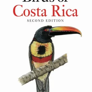 risnedsättning Field guide to Birds of Costa Rica | 2:a upplagan