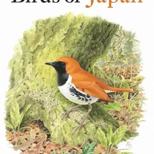 Snabb leverans Field Guide to the Birds of Japan | 0:e upplagan