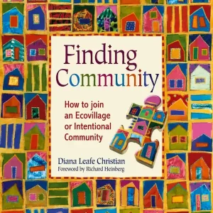 Finding Community | 0:e upplagan I lager