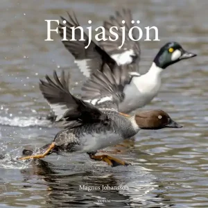 Finjasjön | 1:a upplagan Säker betalning