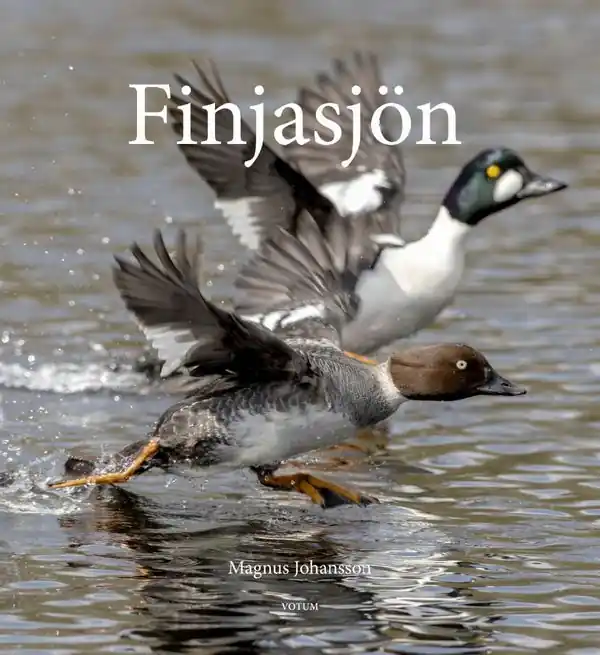 Finjasjön | 1:a upplagan Säker betalning